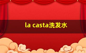 la casta洗发水